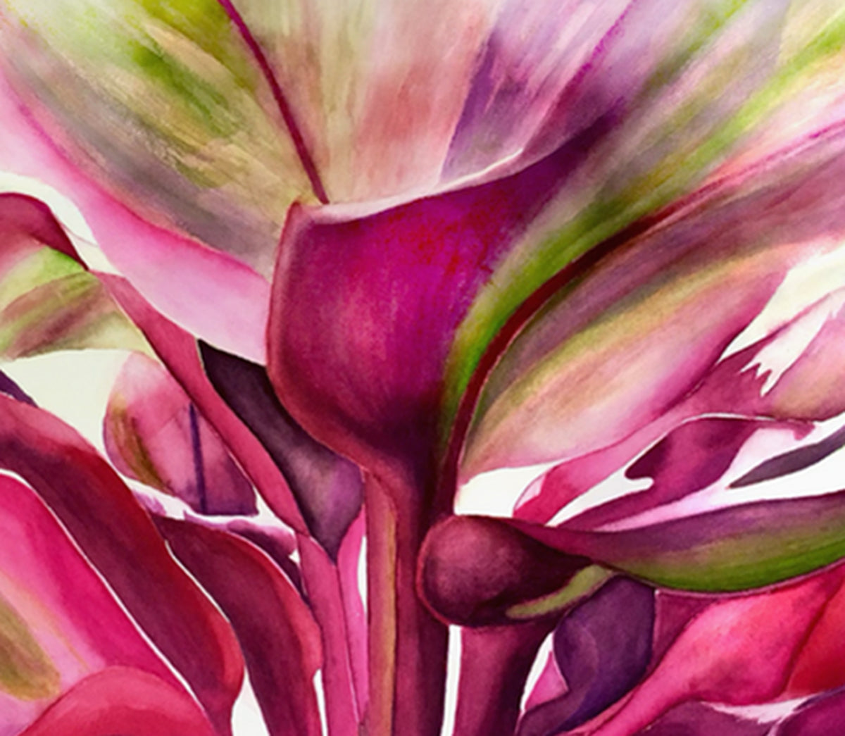 Hawaiian Contemporary Ti