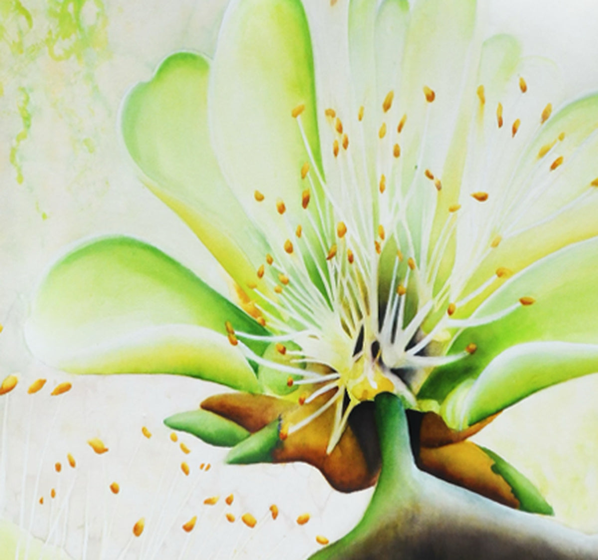 Na Wiliwili Flower