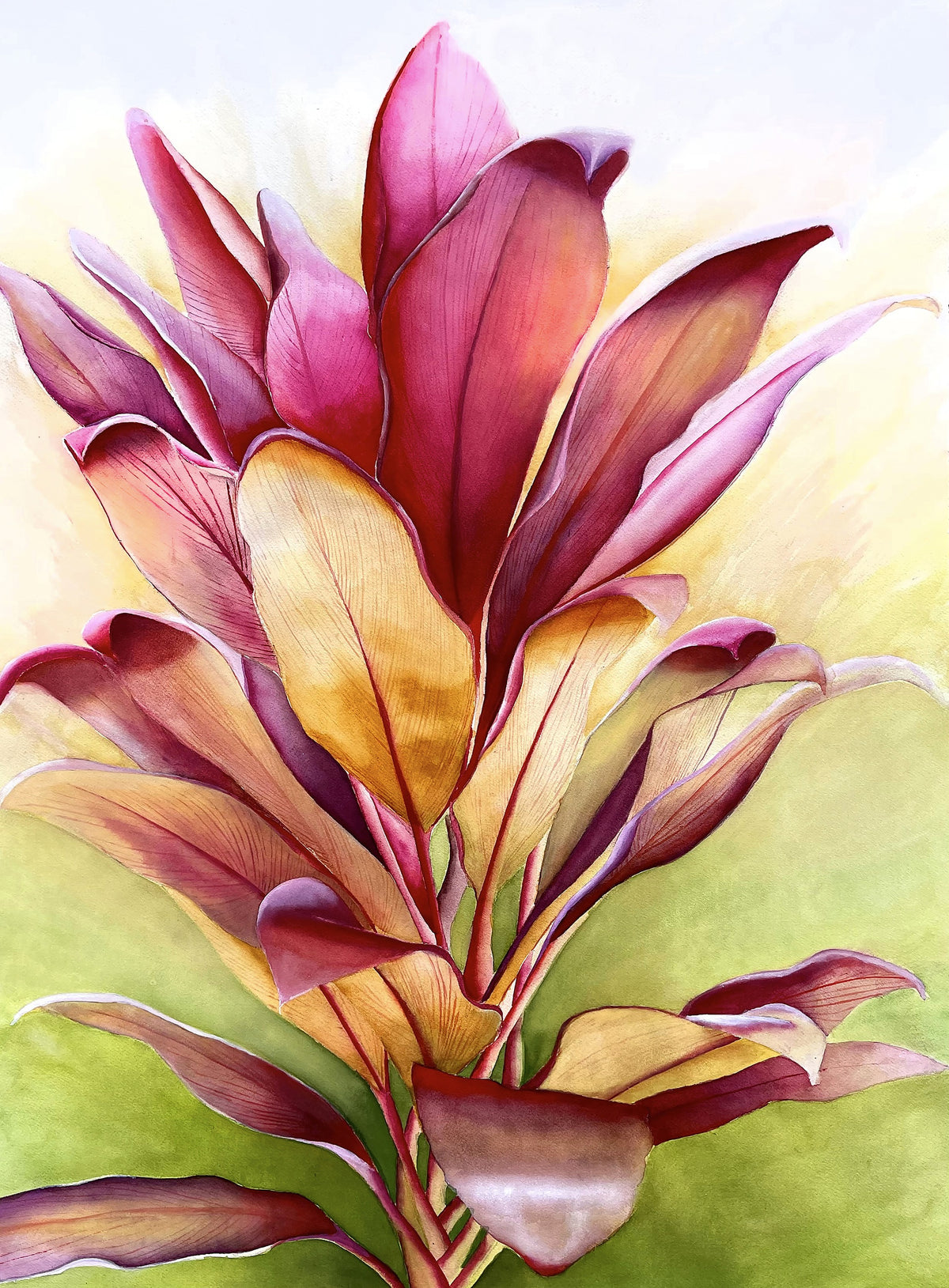 Wailea Ti watercolor by Erin Sabado