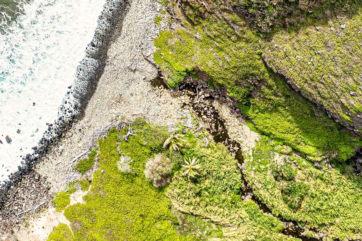Coastal Layers