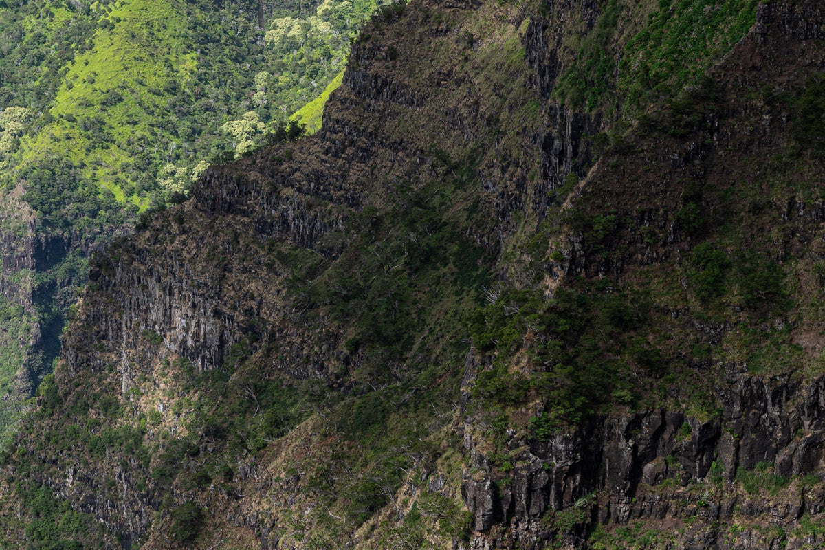 Kalalau's Embrace