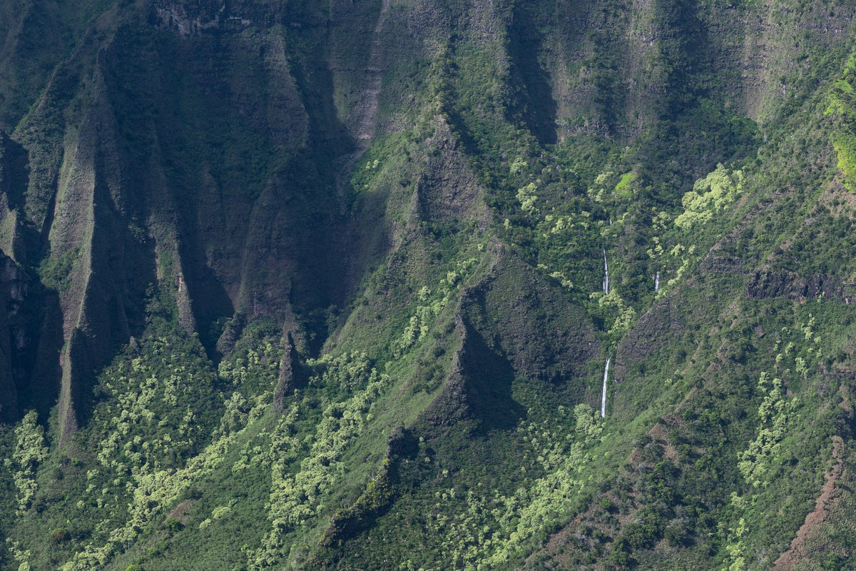 Edge of Awe