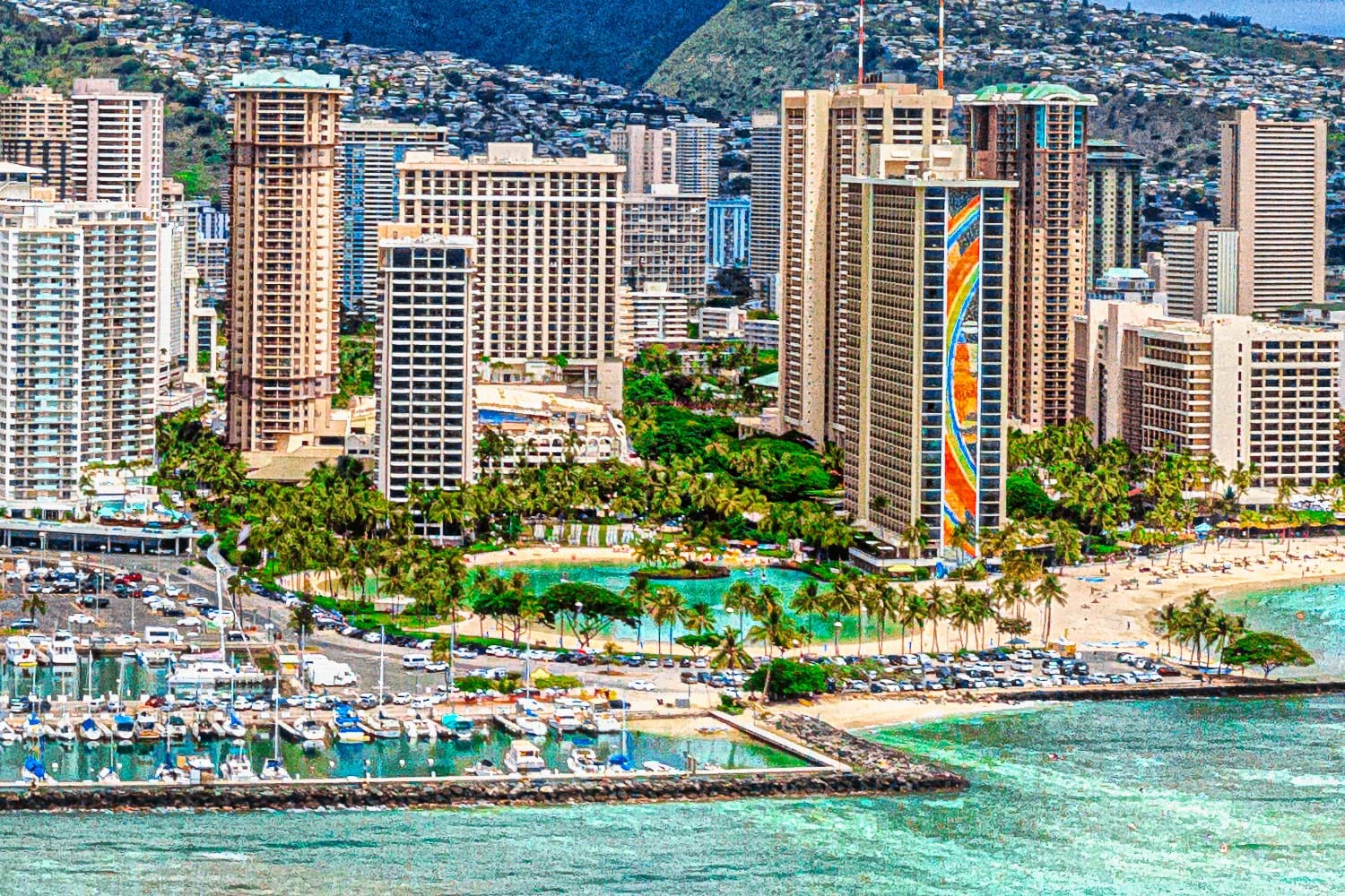 Waikiki Reef