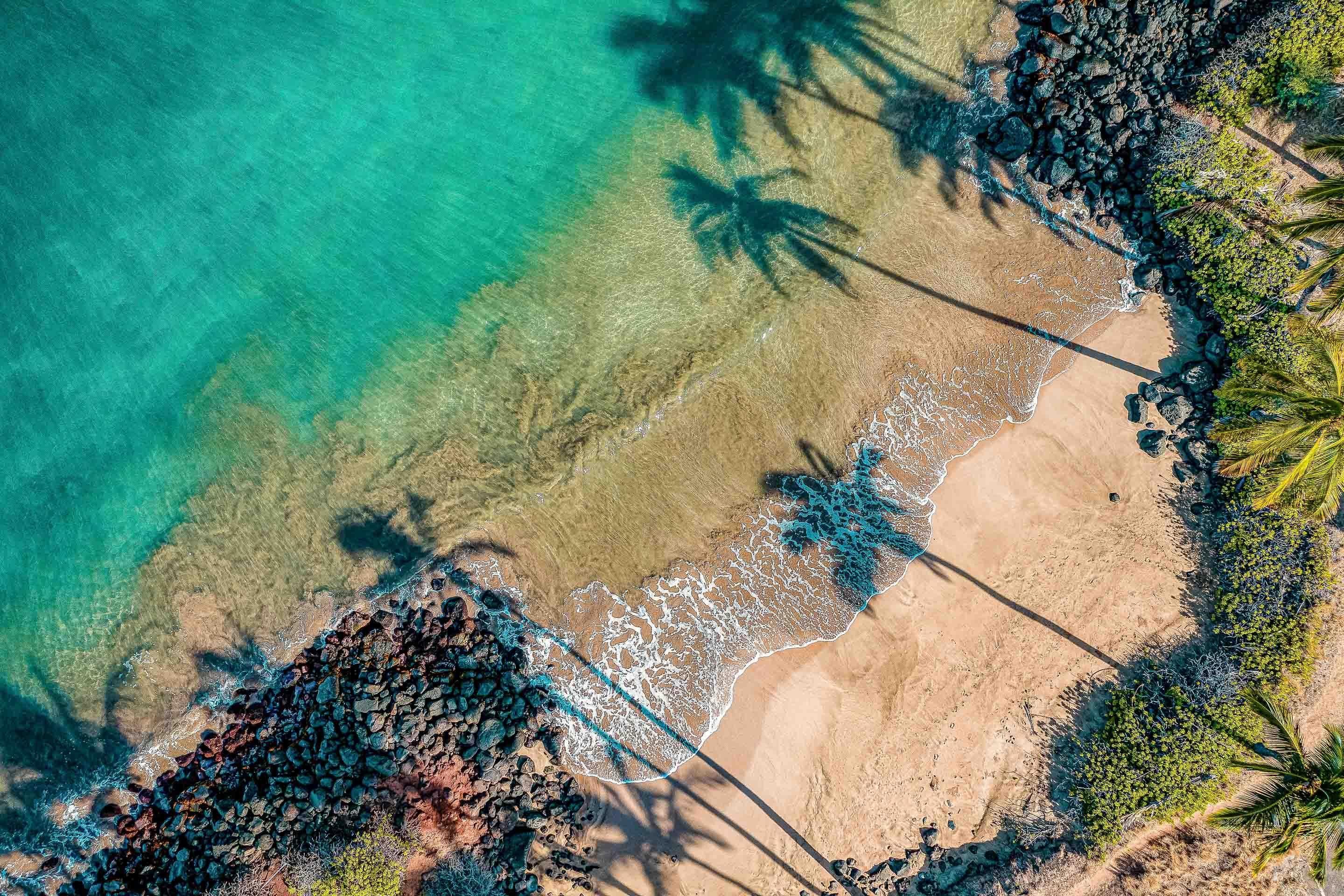 Another Day In Paradise - Maui Fine Art Collective - 3500-5500, 800-3500, aerial, beach, Best Moments, Best Sellers, Best Wall Artwork, blue, Coast, Cove, green, Hawaii, horizontal, Island, kihei, Lance Ehrecke, maui, Maui Hawaii Fine Art Photography, Maui Hawaii Wall Art, ocean, open-edition, over-5500, Palm Trees, palm-tree, rocks, sand, size-16x-24, size-24-x-36, size-40-x-60, spinimages=1, teal, trail, Trees, Water, waves, White, yellow