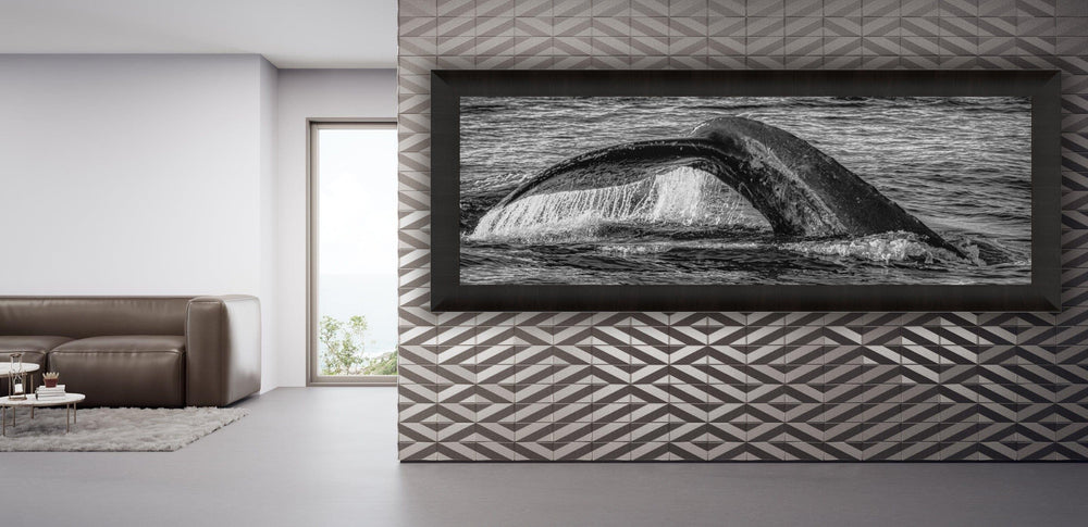 Aqua Elegance | Monochromatic Humpback Graceful Tail - Maui Fine Art Collective - 3500-5500, 800-3500, Acrylic, Artwork, Best Wall Artwork, black, Black & White, Boat, Canvas, Hawaii, Island, lahaina, Lance Ehrecke, maui, Maui Hawaii Fine Art Photography, Maui Hawaii Wall Art, Metal, Monochromatic, Moody, new arrivals, New Moments, ocean, open-edition, over-5500, panoramic, Prints, size-20-x-60, size-30-x-90, Sunrise, Visual Artwork, Water, waves, White