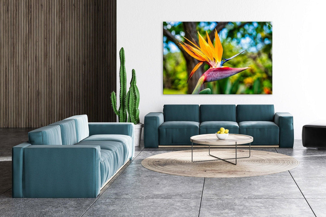 Bird of Paradise Flower - Maui Fine Art Collective - 3500-5500, 800-3500, Best Wall Artwork, Hawaii, horizontal, Kahana, kihei, Lance Ehrecke, Maui Hawaii Fine Art Photography, Maui Hawaii Wall Art, open-edition, over-5500, size-16x-24, size-24-x-36, size-40-x-60