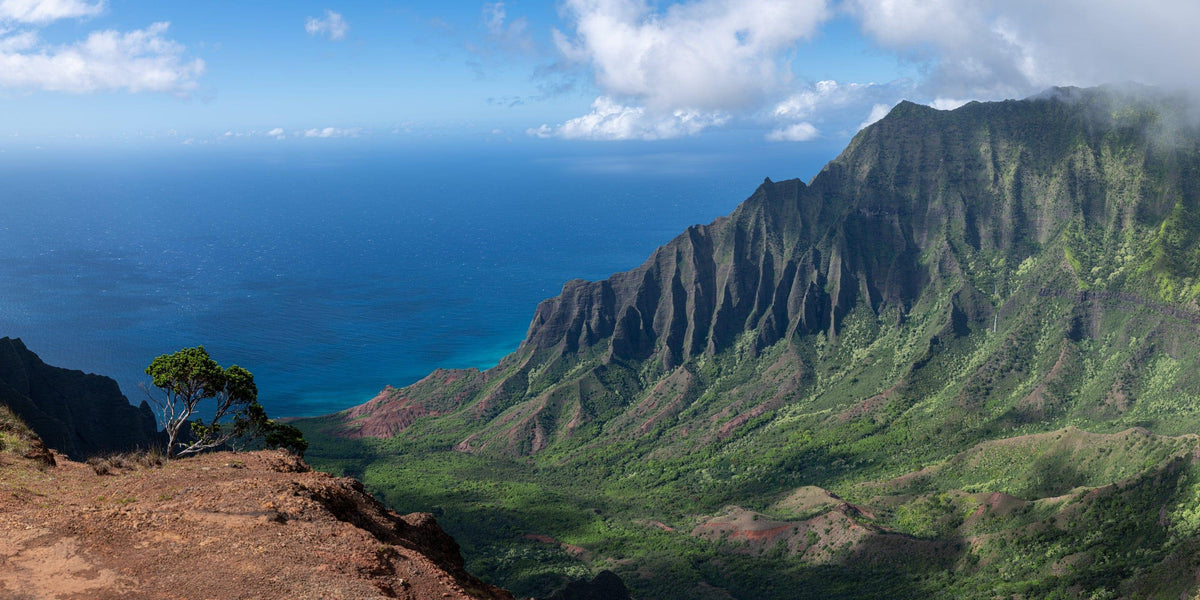 Edge of Awe | Kalalau Valley Cliffside - Living Moments Media - 3500-5500, 800-3500, Acrylic, Artwork, Best Moments, Best Sellers, black, blue, Canvas, clouds, Coast, forest, green, Hawaii, horizontal, Island, Jungle, Kauai, Aluminum, Moody, Mountains, Na Pali Coast, new arrivals, New Moments, ocean, open-edition, orange, over-5500, panoramic, pathway, Prints, rocks, sand, size-20-x-40, size-40-x-80, Surf, trail, Trees, Visual Artwork, Water, Waterfalls, waves, White