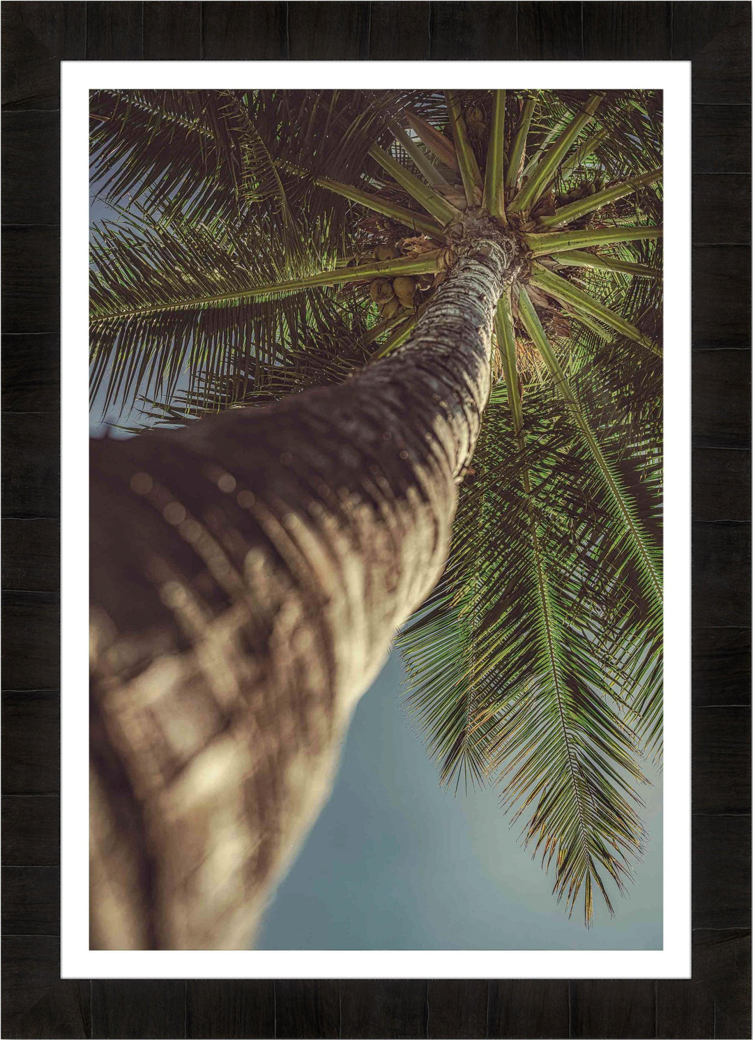 Focused - Maui Fine Art Collective - 3500-5500, 800-3500, Best Wall Artwork, Hawaii, kihei, Lance Ehrecke, Maui Hawaii Fine Art Photography, Maui Hawaii Wall Art, open-edition, over-5500, size-16x-24, size-24-x-36, size-40-x-60, vertical