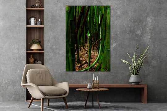 Fresh Beginnings - Maui Fine Art Collective - 3500-5500, 800-3500, bamboo, Best Moments, Best Sellers, Best Wall Artwork, forest, green, hana, Hawaii, Lance Ehrecke, maui, Maui Hawaii Fine Art Photography, Maui Hawaii Wall Art, new arrivals, New Moments, open-edition, over-5500, size-16x-24, size-24-x-36, size-40-x-60, vertical