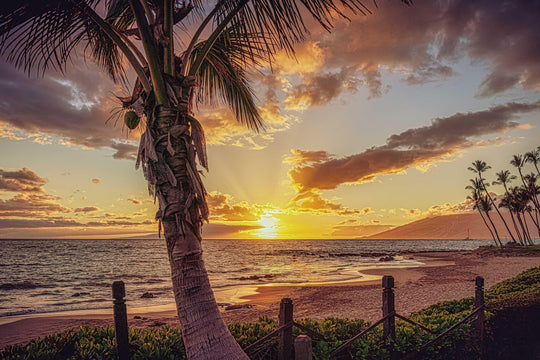 Golden Rays - Maui Fine Art Collective - 3500-5500, 800-3500, beach, Best Moments, Best Sellers, Best Wall Artwork, clouds, Hawaii, horizontal, Island, kihei, Lance Ehrecke, maui, Maui Hawaii Fine Art Photography, Maui Hawaii Wall Art, ocean, open-edition, orange, over-5500, sand, size-16x-24, size-24-x-36, size-40-x-60, Sunset, waves, yellow