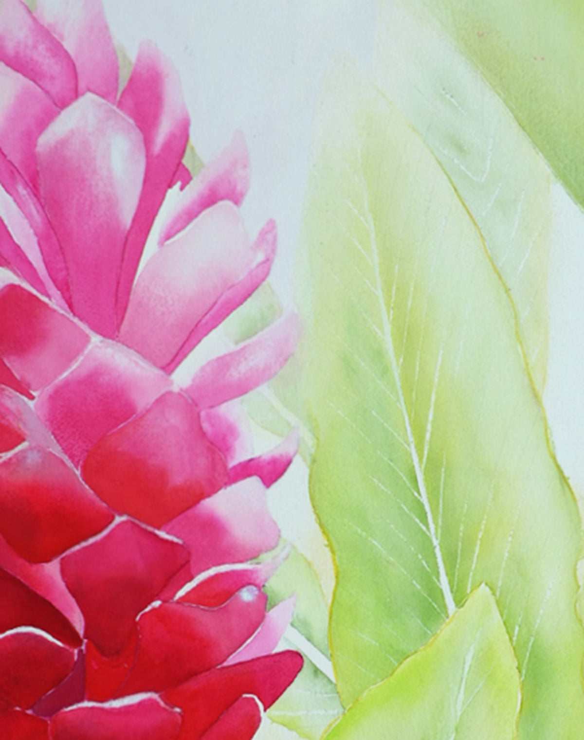 Hawaii Torch Ginger