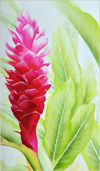 Hawaii Torch Ginger — selected presentation preview