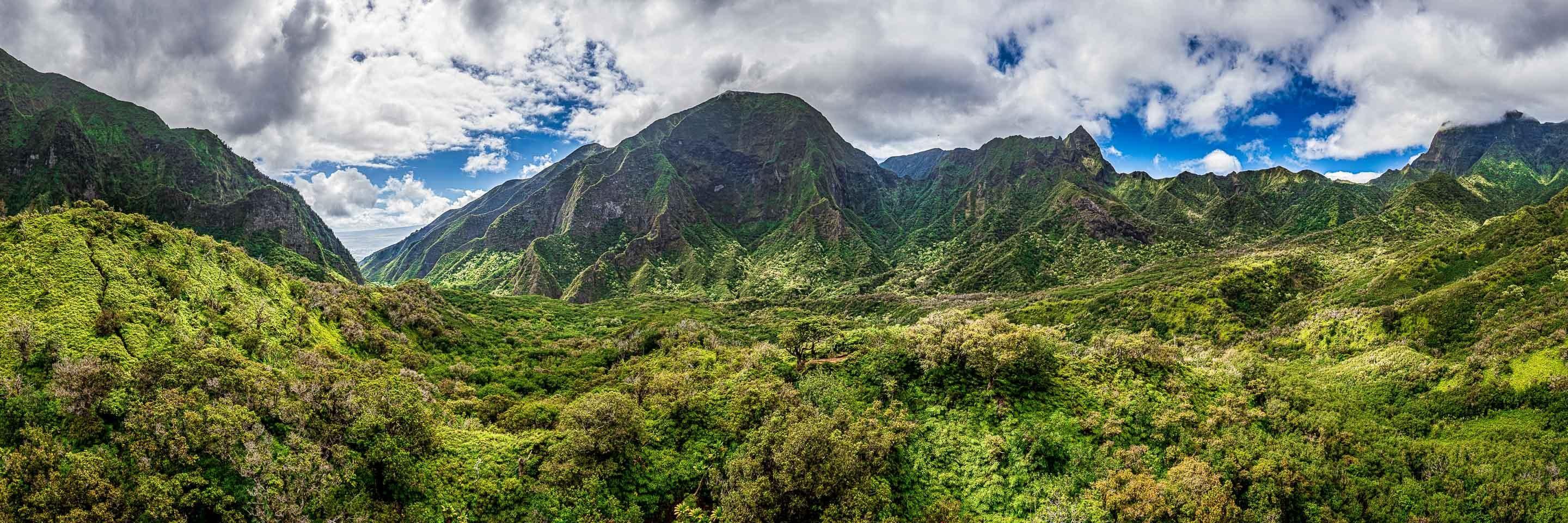 Iao Roots - Maui Fine Art Collective - 3500-5500, 800-3500, aerial, Best Wall Artwork, blue, green, Hawaii, Iao Valley, Island, Jungle, Lance Ehrecke, maui, Maui Hawaii Fine Art Photography, Maui Hawaii Wall Art, open-edition, over-5500, panoramic, size-20-x-60, size-30-x-90, Trees