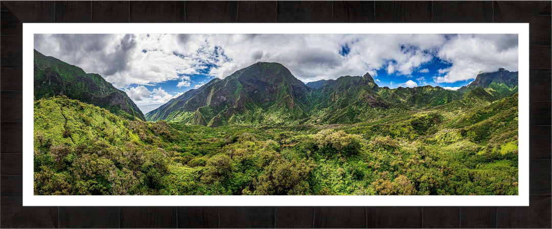 Iao Roots - Maui Fine Art Collective - 3500-5500, 800-3500, aerial, Best Wall Artwork, blue, green, Hawaii, Iao Valley, Island, Jungle, Lance Ehrecke, maui, Maui Hawaii Fine Art Photography, Maui Hawaii Wall Art, open-edition, over-5500, panoramic, size-20-x-60, size-30-x-90, Trees