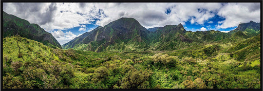 Iao Roots - Maui Fine Art Collective - 3500-5500, 800-3500, aerial, Best Wall Artwork, blue, green, Hawaii, Iao Valley, Island, Jungle, Lance Ehrecke, maui, Maui Hawaii Fine Art Photography, Maui Hawaii Wall Art, open-edition, over-5500, panoramic, size-20-x-60, size-30-x-90, Trees