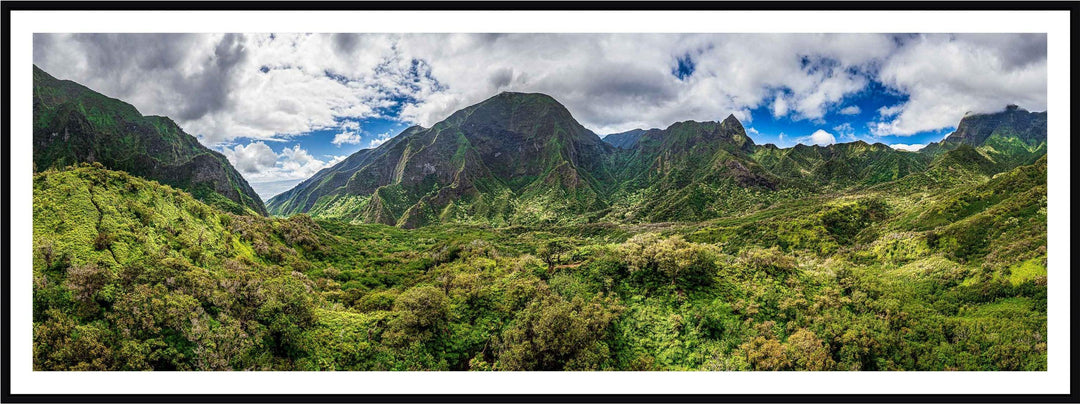 Iao Roots - Maui Fine Art Collective - 3500-5500, 800-3500, aerial, Best Wall Artwork, blue, green, Hawaii, Iao Valley, Island, Jungle, Lance Ehrecke, maui, Maui Hawaii Fine Art Photography, Maui Hawaii Wall Art, open-edition, over-5500, panoramic, size-20-x-60, size-30-x-90, Trees