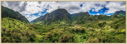 Iao Roots - Maui Fine Art Collective - 3500-5500, 800-3500, aerial, Best Wall Artwork, blue, green, Hawaii, Iao Valley, Island, Jungle, Lance Ehrecke, maui, Maui Hawaii Fine Art Photography, Maui Hawaii Wall Art, open-edition, over-5500, panoramic, size-20-x-60, size-30-x-90, Trees