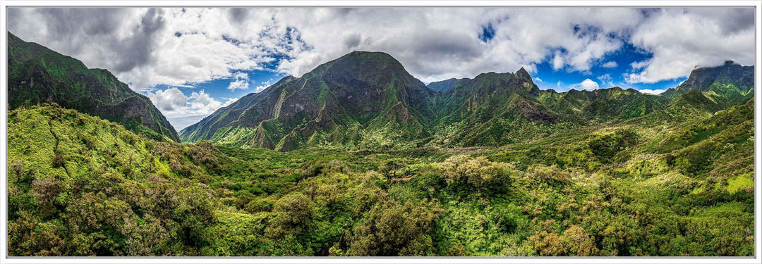 Iao Roots - Maui Fine Art Collective - 3500-5500, 800-3500, aerial, Best Wall Artwork, blue, green, Hawaii, Iao Valley, Island, Jungle, Lance Ehrecke, maui, Maui Hawaii Fine Art Photography, Maui Hawaii Wall Art, open-edition, over-5500, panoramic, size-20-x-60, size-30-x-90, Trees