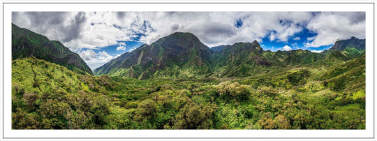 Iao Roots - Maui Fine Art Collective - 3500-5500, 800-3500, aerial, Best Wall Artwork, blue, green, Hawaii, Iao Valley, Island, Jungle, Lance Ehrecke, maui, Maui Hawaii Fine Art Photography, Maui Hawaii Wall Art, open-edition, over-5500, panoramic, size-20-x-60, size-30-x-90, Trees