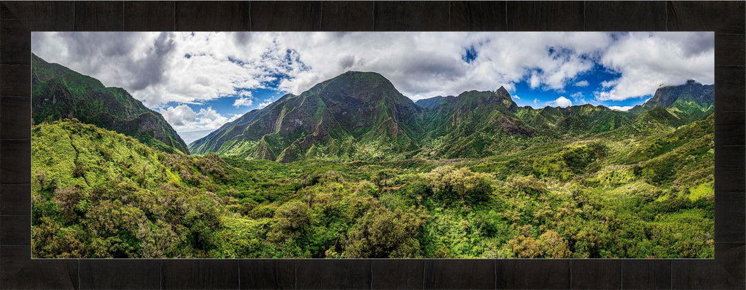 Iao Roots - Maui Fine Art Collective - 3500-5500, 800-3500, aerial, Best Wall Artwork, blue, green, Hawaii, Iao Valley, Island, Jungle, Lance Ehrecke, maui, Maui Hawaii Fine Art Photography, Maui Hawaii Wall Art, open-edition, over-5500, panoramic, size-20-x-60, size-30-x-90, Trees