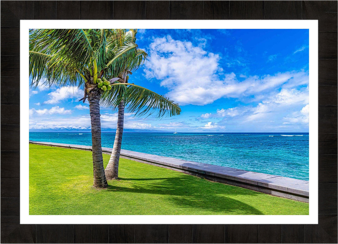 Kahana Palms - Maui Fine Art Collective - 3500-5500, 800-3500, beach, Best Wall Artwork, blue, clouds, green, Hawaii, horizontal, Island, Kahana, lahaina, Lance Ehrecke, maui, Maui Hawaii Fine Art Photography, Maui Hawaii Wall Art, ocean, open-edition, over-5500, Palm Trees, palm-tree, size-16x-24, size-24-x-36, size-40-x-60, teal, Water, waves