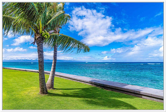 Kahana Palms - Maui Fine Art Collective - 3500-5500, 800-3500, beach, Best Wall Artwork, blue, clouds, green, Hawaii, horizontal, Island, Kahana, lahaina, Lance Ehrecke, maui, Maui Hawaii Fine Art Photography, Maui Hawaii Wall Art, ocean, open-edition, over-5500, Palm Trees, palm-tree, size-16x-24, size-24-x-36, size-40-x-60, teal, Water, waves