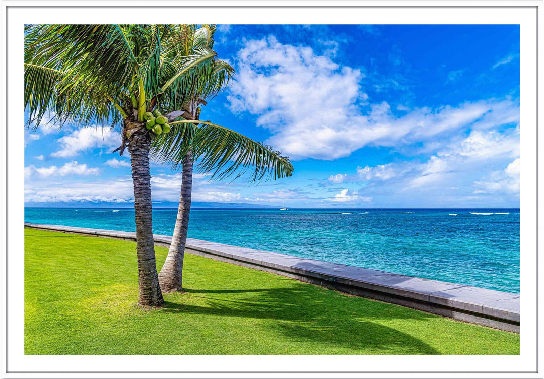 Kahana Palms - Maui Fine Art Collective - 3500-5500, 800-3500, beach, Best Wall Artwork, blue, clouds, green, Hawaii, horizontal, Island, Kahana, lahaina, Lance Ehrecke, maui, Maui Hawaii Fine Art Photography, Maui Hawaii Wall Art, ocean, open-edition, over-5500, Palm Trees, palm-tree, size-16x-24, size-24-x-36, size-40-x-60, teal, Water, waves