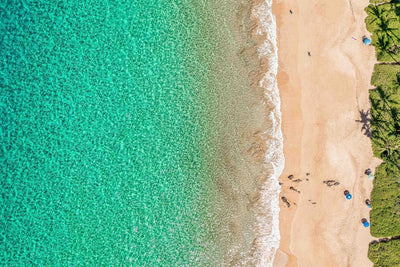 Life's a Beach