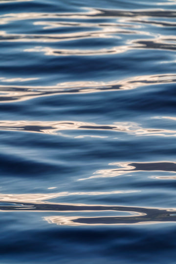 Liquid Harmony
