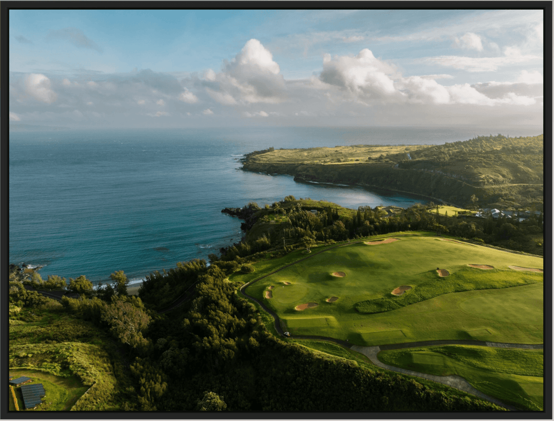 Maui Fine Art Collective Open Edition Acrylic / 42" x 56" / Black Honolua Bay Vista Honolua Bay Vista | Kapalua Golf Course Photography Art for Luxury Home Décor