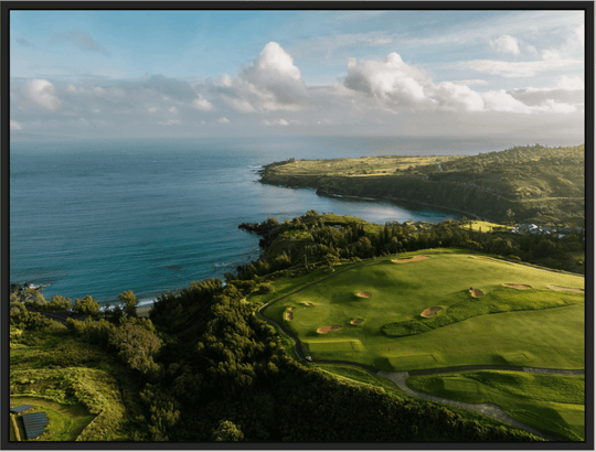 Maui Fine Art Collective Open Edition Acrylic / 42" x 56" / Black Honolua Bay Vista Honolua Bay Vista | Kapalua Golf Course Photography Art for Luxury Home Décor