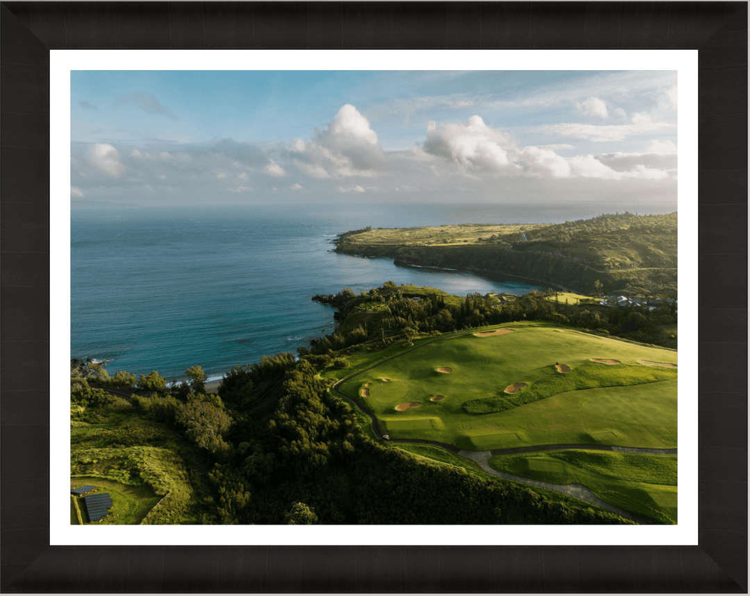 Maui Fine Art Collective Open Edition Acrylic / 42" x 56" / Luxury w/ Border Honolua Bay Vista Honolua Bay Vista | Kapalua Golf Course Photography Art for Luxury Home Décor