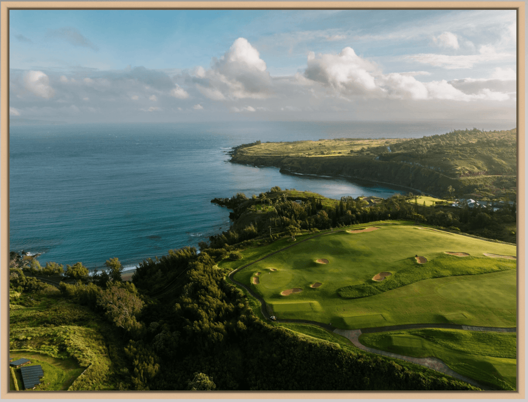 Maui Fine Art Collective Open Edition Acrylic / 42" x 56" / Natural Honolua Bay Vista Honolua Bay Vista | Kapalua Golf Course Photography Art for Luxury Home Décor