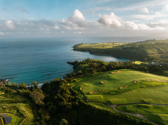 Maui Fine Art Collective Open Edition Acrylic / 42" x 56" / No Frame Honolua Bay Vista Honolua Bay Vista | Kapalua Golf Course Photography Art for Luxury Home Décor