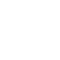 Maui Fine Art Collective