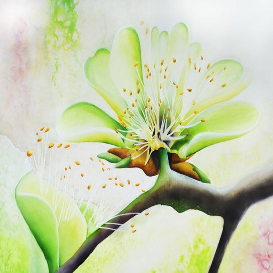 na-wiliwili-flower-hero