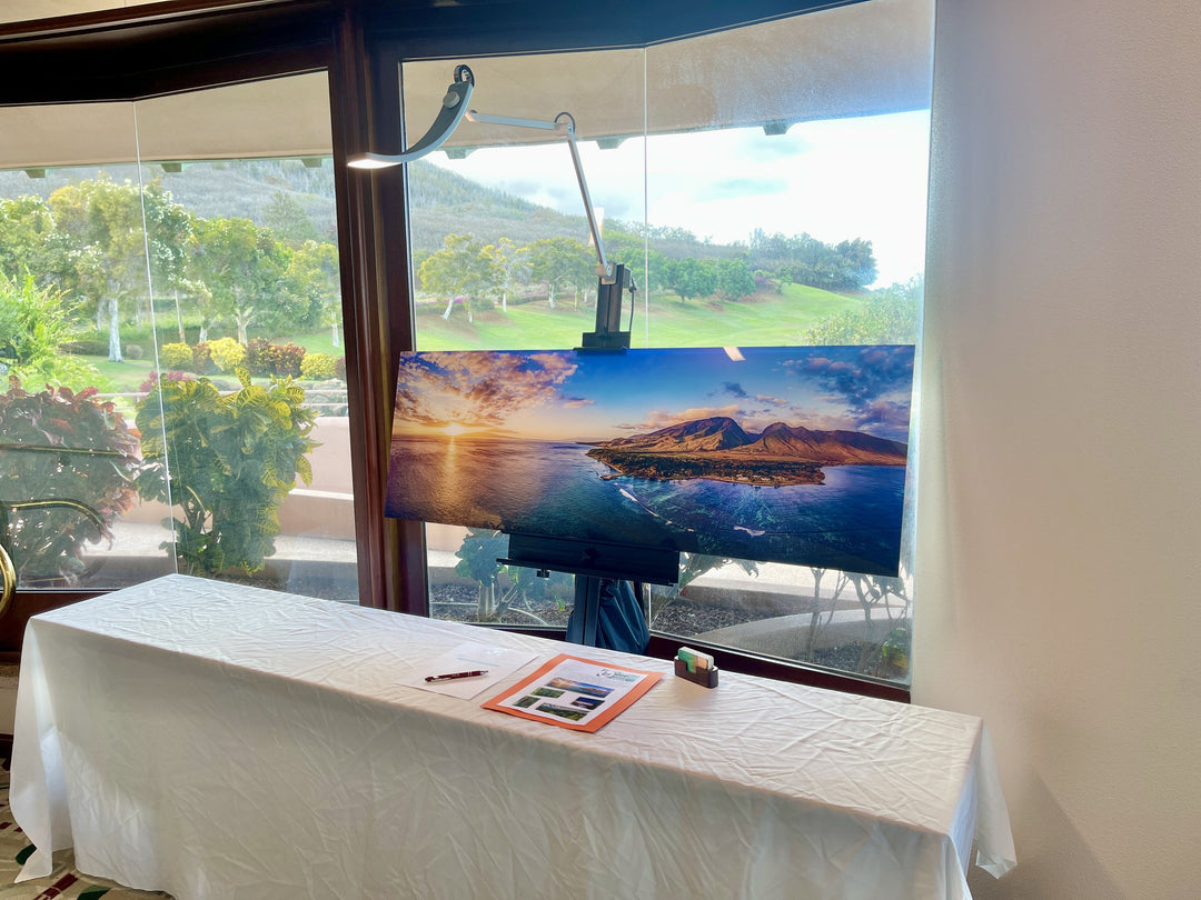 Olowalu Vibes at Pregnancy &amp; Wellness Maui benefit auction