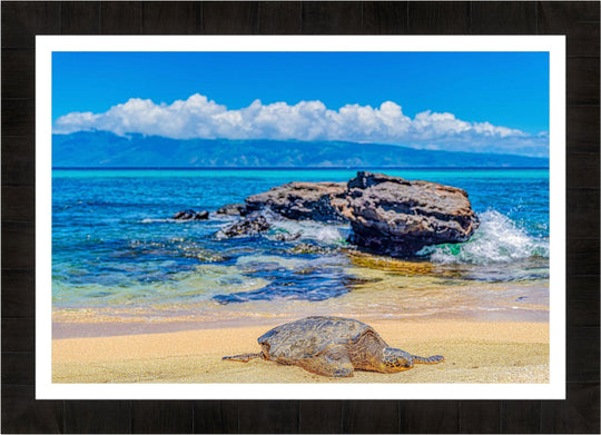 Perfect Nap - Maui Fine Art Collective - 3500-5500, 800-3500, beach, Best Wall Artwork, black, blue, clouds, Hawaii, horizontal, Island, lahaina, Lance Ehrecke, maui, Maui Hawaii Fine Art Photography, Maui Hawaii Wall Art, ocean, open-edition, over-5500, rocks, sand, size-16x-24, size-24-x-36, size-40-x-60, teal, Turtles, waves