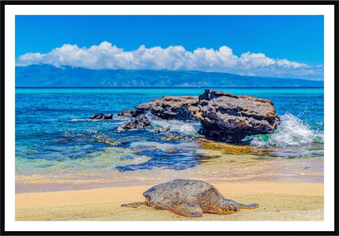 Perfect Nap - Maui Fine Art Collective - 3500-5500, 800-3500, beach, Best Wall Artwork, black, blue, clouds, Hawaii, horizontal, Island, lahaina, Lance Ehrecke, maui, Maui Hawaii Fine Art Photography, Maui Hawaii Wall Art, ocean, open-edition, over-5500, rocks, sand, size-16x-24, size-24-x-36, size-40-x-60, teal, Turtles, waves