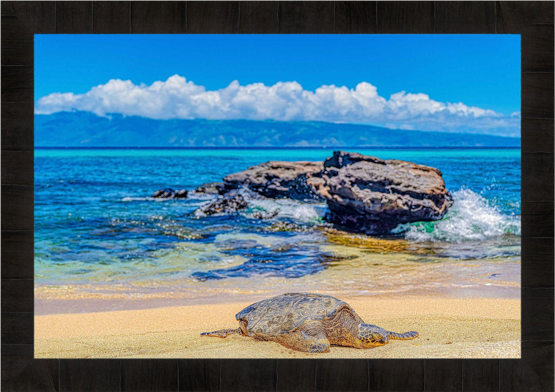 Perfect Nap - Maui Fine Art Collective - 3500-5500, 800-3500, beach, Best Wall Artwork, black, blue, clouds, Hawaii, horizontal, Island, lahaina, Lance Ehrecke, maui, Maui Hawaii Fine Art Photography, Maui Hawaii Wall Art, ocean, open-edition, over-5500, rocks, sand, size-16x-24, size-24-x-36, size-40-x-60, teal, Turtles, waves