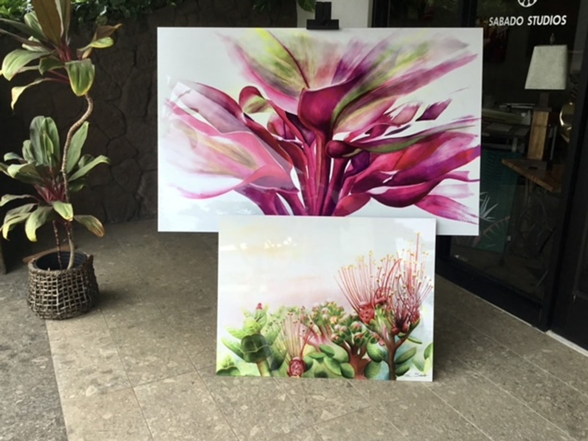 Sabado Studios threshold — botanical canvases + door glass SABADO STUDIOS lettering
