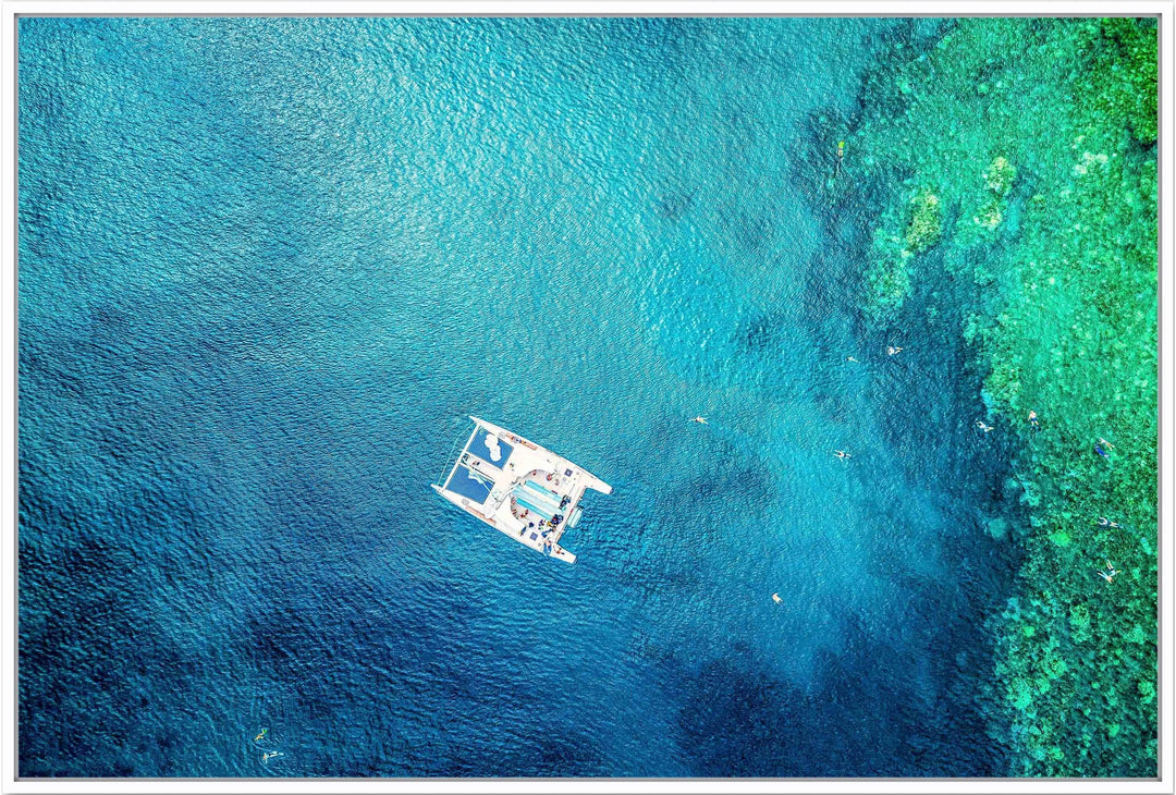 Sea Searching - Maui Fine Art Collective - 3500-5500, 800-3500, Best Wall Artwork, black, blue, Boat, Cove, green, Hawaii, Honolua, horizontal, Island, lahaina, Lance Ehrecke, maui, Maui Hawaii Fine Art Photography, Maui Hawaii Wall Art, ocean, open-edition, over-5500, Reef, rocks, size-16x-24, size-24-x-36, size-40-x-60, Snorkeling, teal