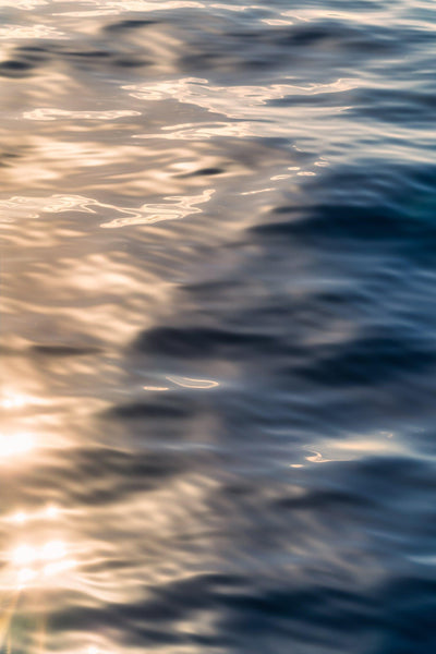 Seaside Reflections