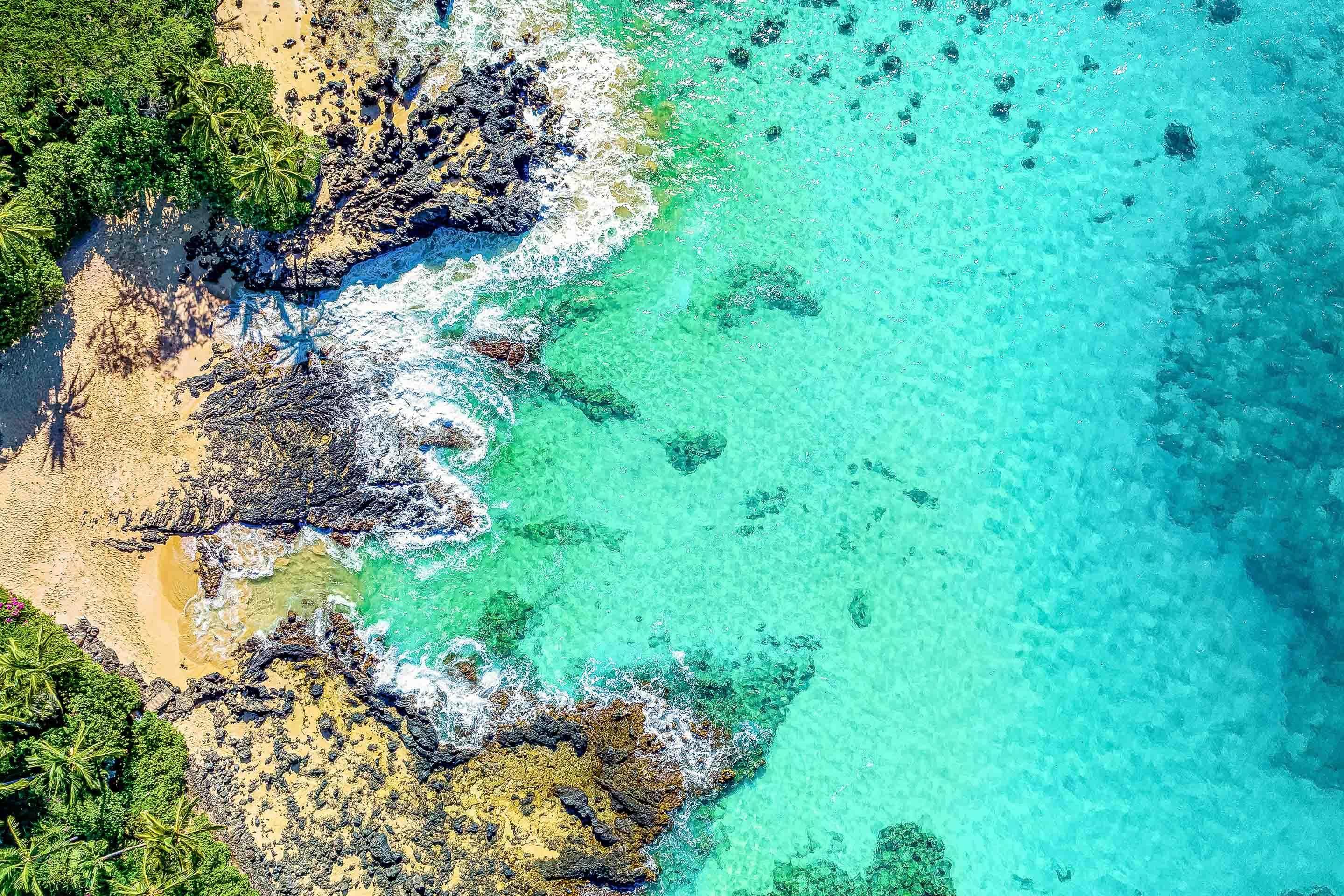 Secret Bay - Maui Fine Art Collective - 3500-5500, 800-3500, beach, Best Wall Artwork, blue, Cove, green, Hawaii, horizontal, Island, Lance Ehrecke, makena, maui, Maui Hawaii Fine Art Photography, Maui Hawaii Wall Art, new arrivals, New Moments, ocean, open-edition, over-5500, Palm Trees, palm-tree, Reef, rocks, sand, size-16x-24, size-24-x-36, size-32-x-52, size-40-x-60, teal, waves