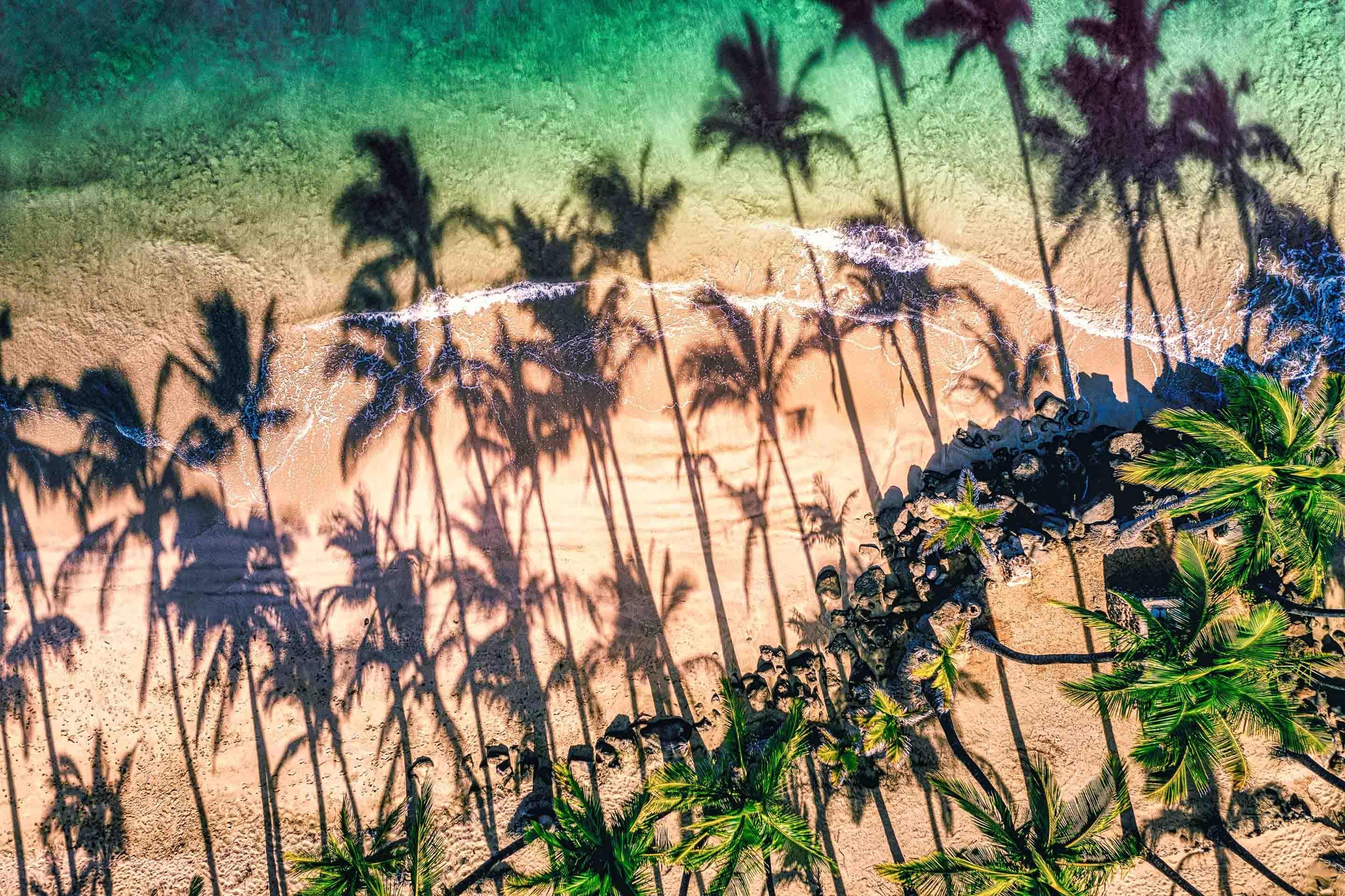 Shady Palms - Maui Fine Art Collective - 3500-5500, 800-3500, beach, Best Wall Artwork, Cove, green, Hawaii, horizontal, Island, kihei, Lance Ehrecke, maui, Maui Hawaii Fine Art Photography, Maui Hawaii Wall Art, ocean, open-edition, over-5500, Palm Trees, palm-tree, rocks, sand, size-16x-24, size-24-x-36, size-40-x-60, teal, waves