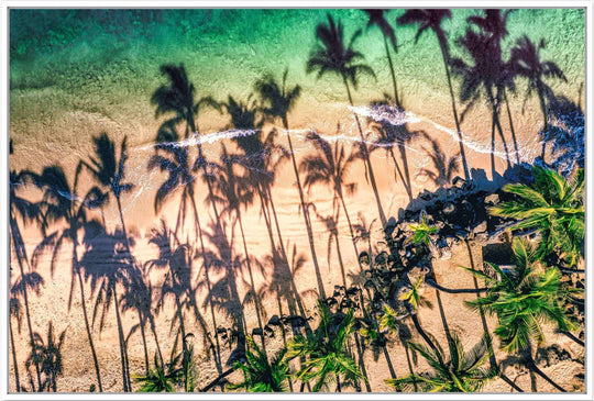 Shady Palms - Maui Fine Art Collective - 3500-5500, 800-3500, beach, Best Wall Artwork, Cove, green, Hawaii, horizontal, Island, kihei, Lance Ehrecke, maui, Maui Hawaii Fine Art Photography, Maui Hawaii Wall Art, ocean, open-edition, over-5500, Palm Trees, palm-tree, rocks, sand, size-16x-24, size-24-x-36, size-40-x-60, teal, waves