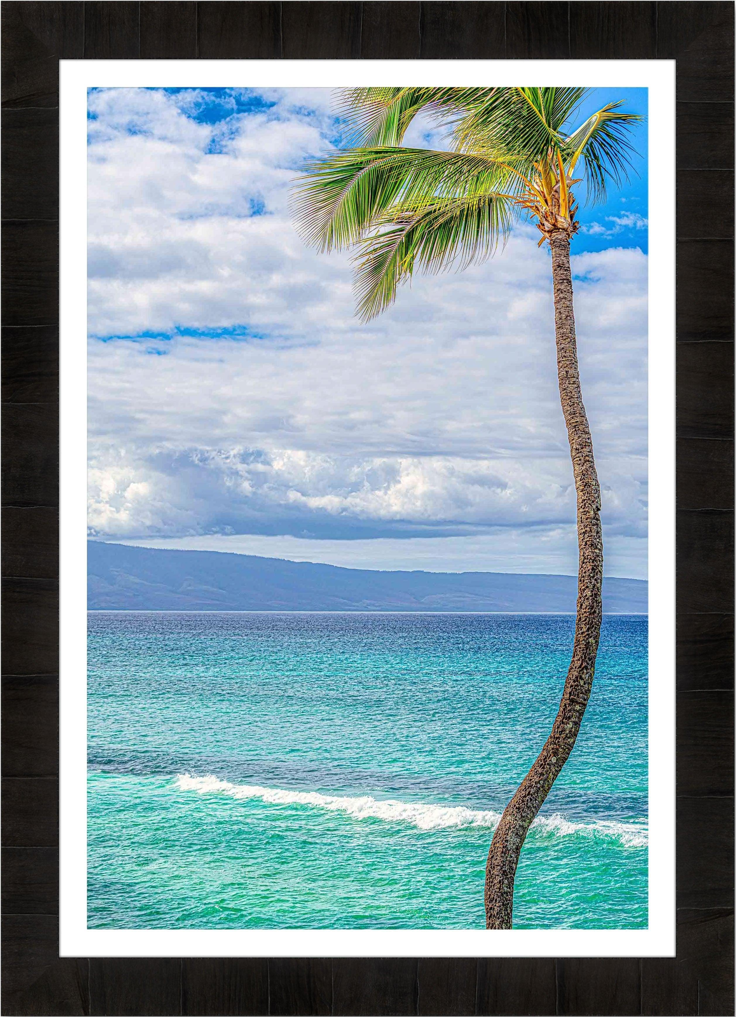 Solo | Hawaiian Palm Tree Art Print on Metal with Teal Water in