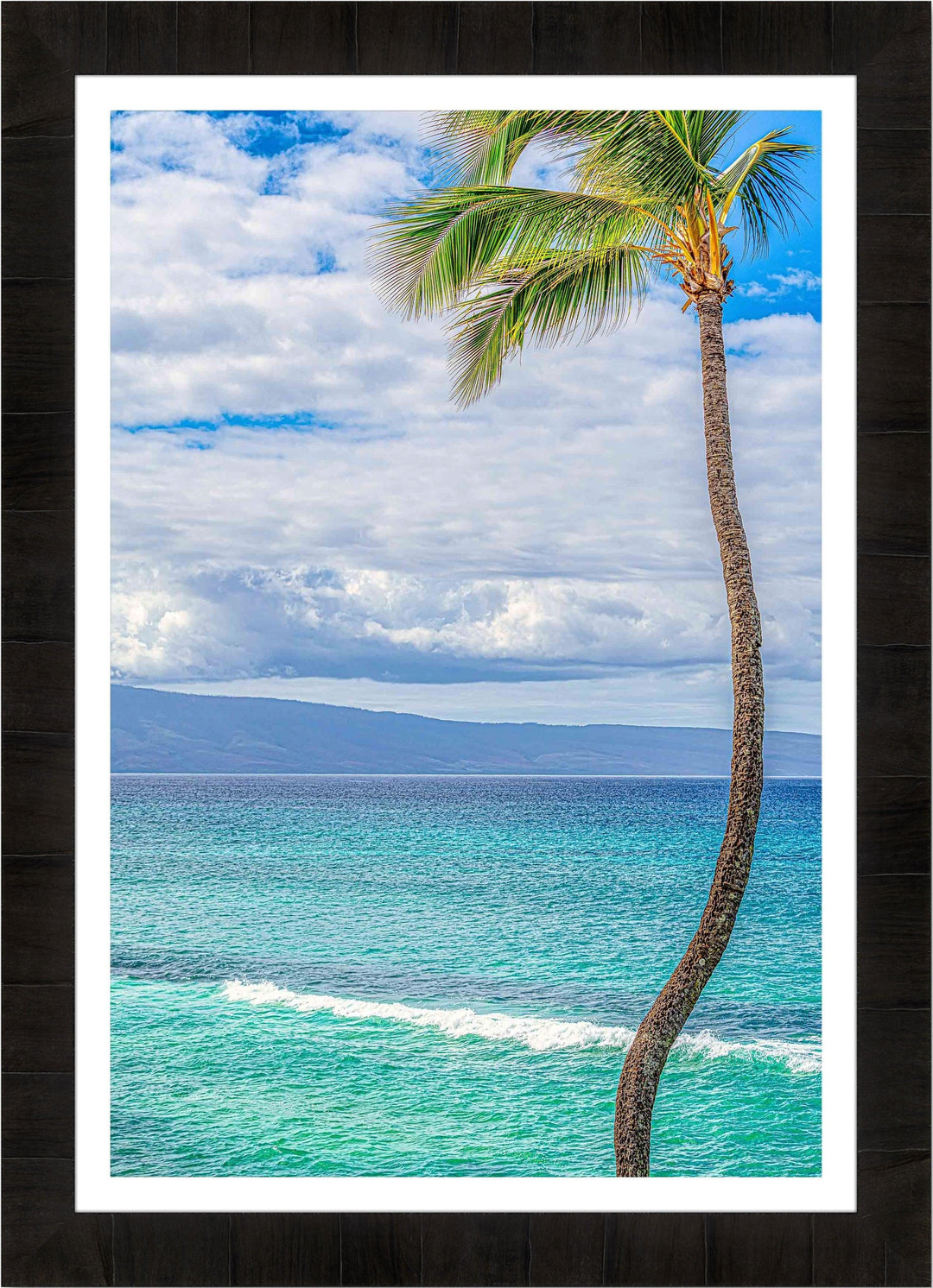 Solo - Maui Fine Art Collective - 3500-5500, 800-3500, Best Wall Artwork, blue, green, Hawaii, Island, lahaina, Lance Ehrecke, maui, Maui Hawaii Fine Art Photography, Maui Hawaii Wall Art, ocean, open-edition, over-5500, Palm Trees, palm-tree, size-16x-24, size-24-x-36, size-40-x-60, teal, vertical, Water, waves