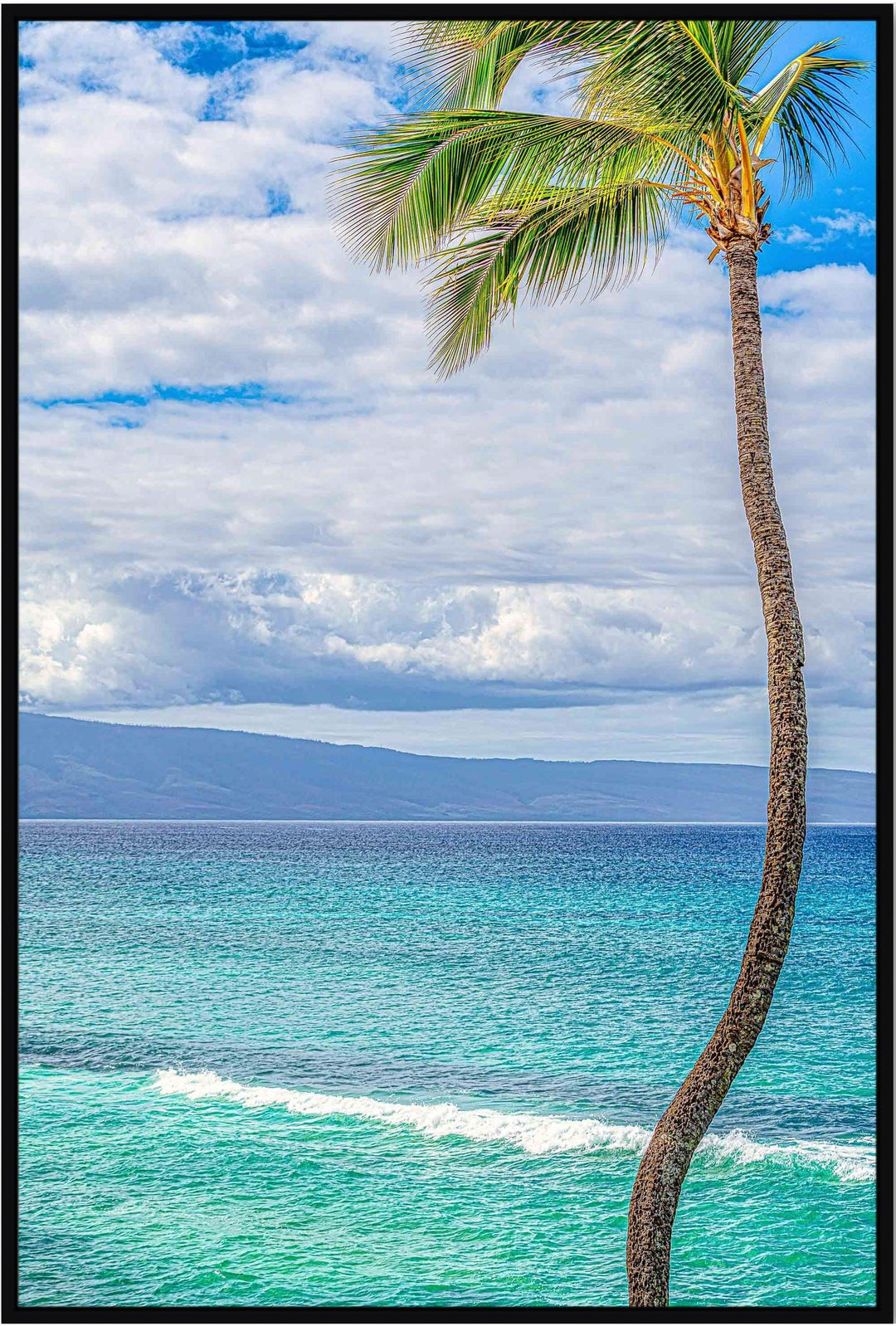 Solo - Maui Fine Art Collective - 3500-5500, 800-3500, Best Wall Artwork, blue, green, Hawaii, Island, lahaina, Lance Ehrecke, maui, Maui Hawaii Fine Art Photography, Maui Hawaii Wall Art, ocean, open-edition, over-5500, Palm Trees, palm-tree, size-16x-24, size-24-x-36, size-40-x-60, teal, vertical, Water, waves