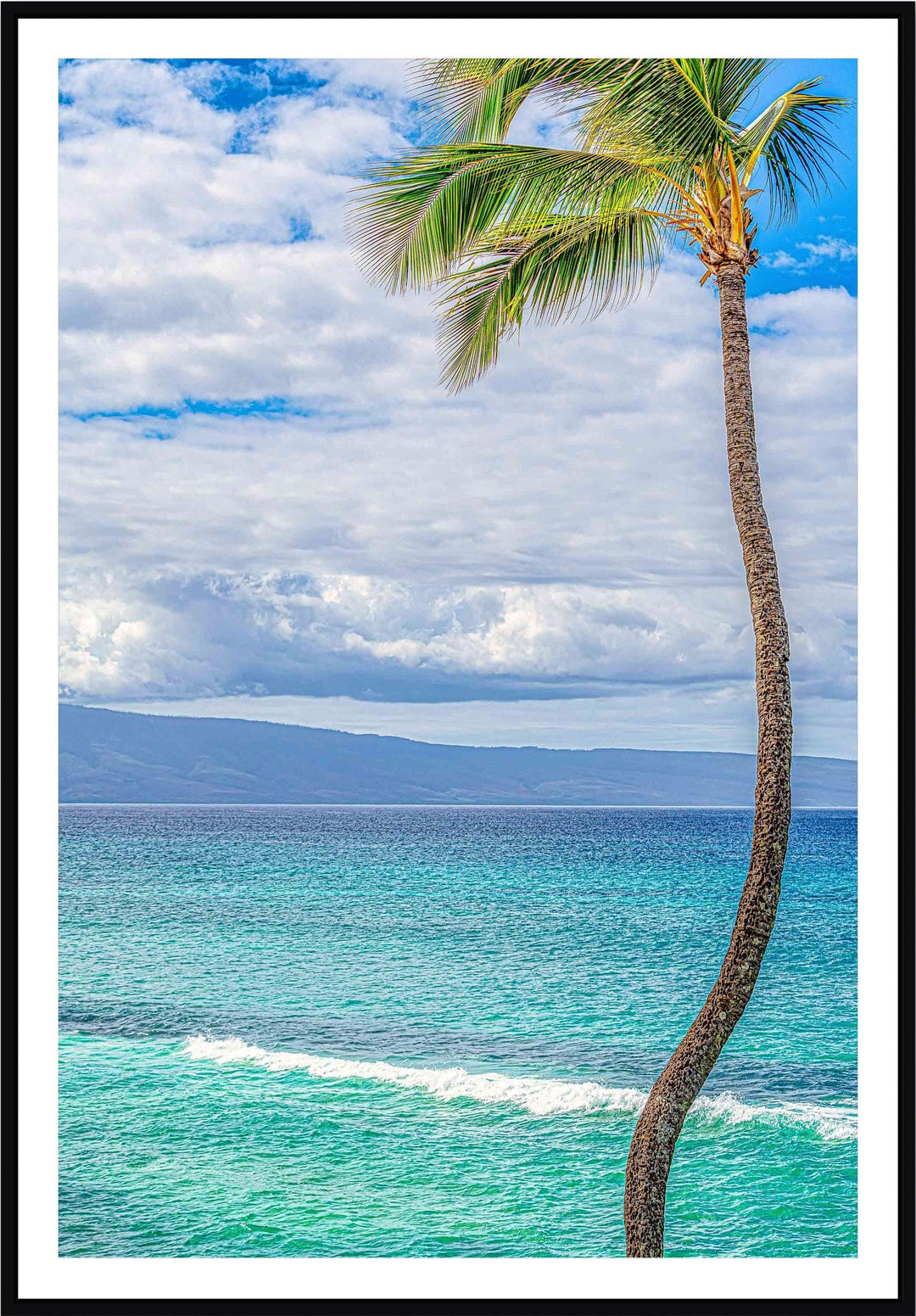 Solo - Maui Fine Art Collective - 3500-5500, 800-3500, Best Wall Artwork, blue, green, Hawaii, Island, lahaina, Lance Ehrecke, maui, Maui Hawaii Fine Art Photography, Maui Hawaii Wall Art, ocean, open-edition, over-5500, Palm Trees, palm-tree, size-16x-24, size-24-x-36, size-40-x-60, teal, vertical, Water, waves